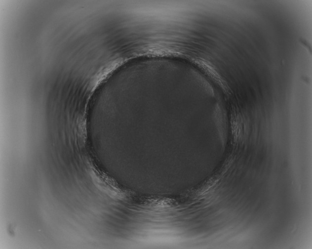 X0000101480488200807211402