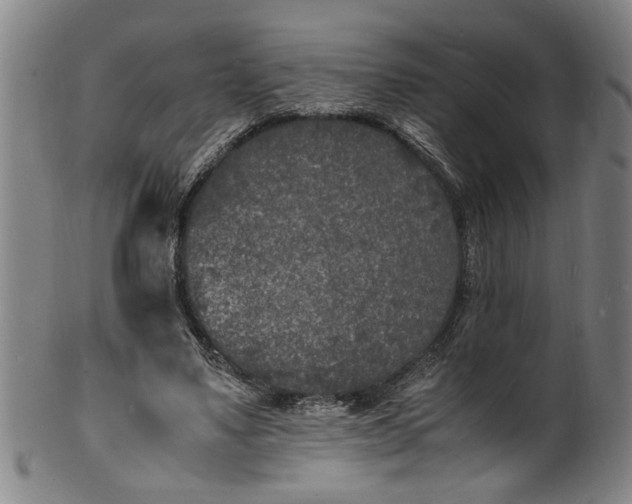 X0000101480491200807211402