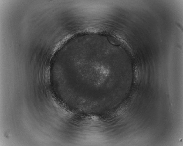 X0000101480492200807211402