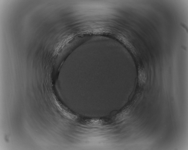 X0000101480493200807211402