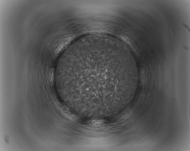 X0000101480495200807211402