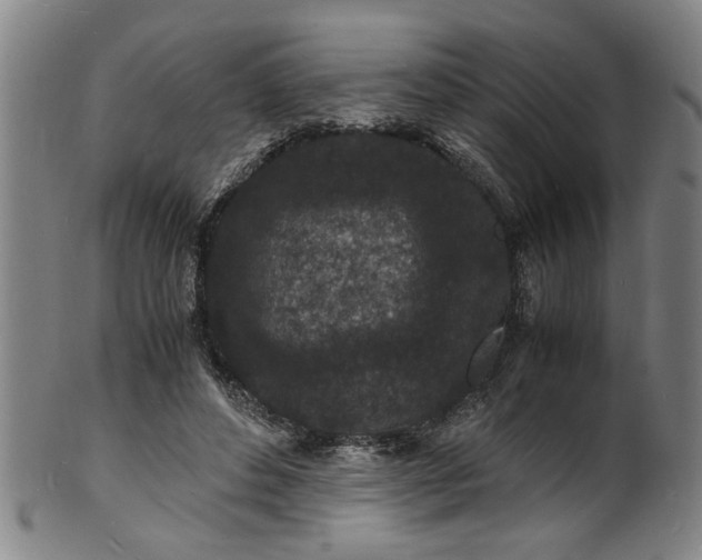 X0000101480496200807211402