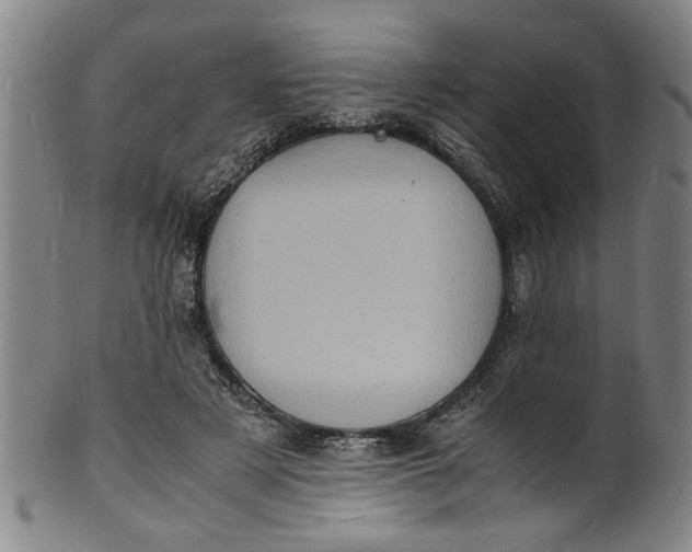 X0000101480497200807211402