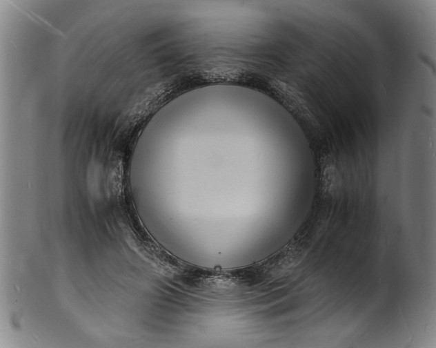 X0000101480498200807211402