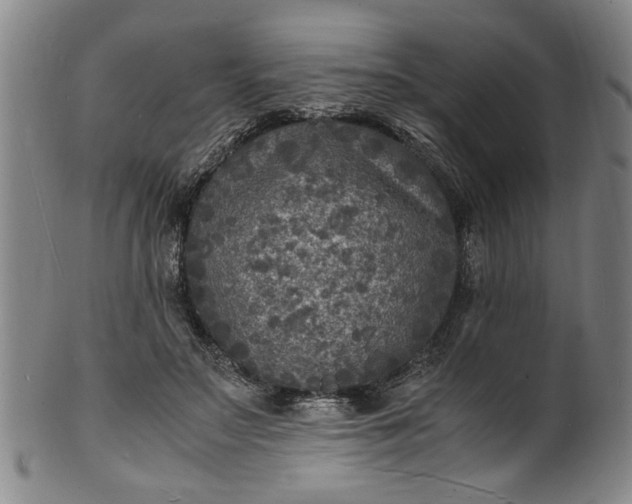 X0000101480499200807211402