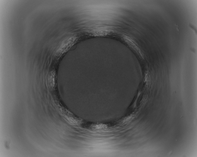 X0000101480501200807211402