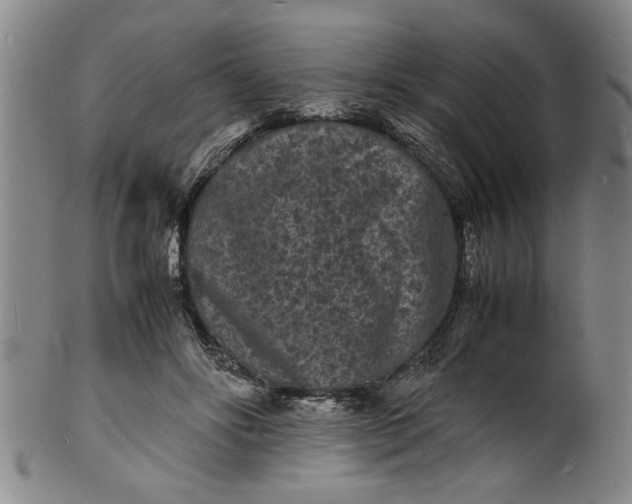 X0000101480502200807211402