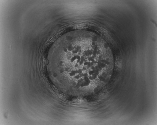 X0000101480503200807211402