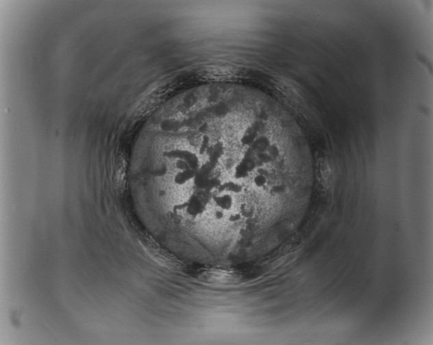 X0000101480507200807211402