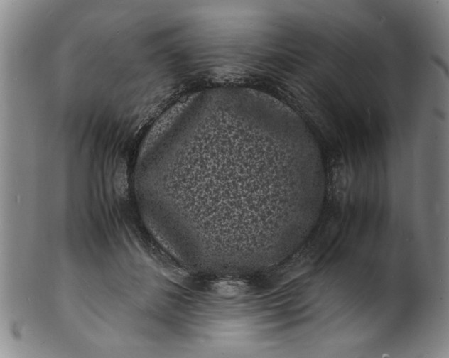 X0000101480508200807211402