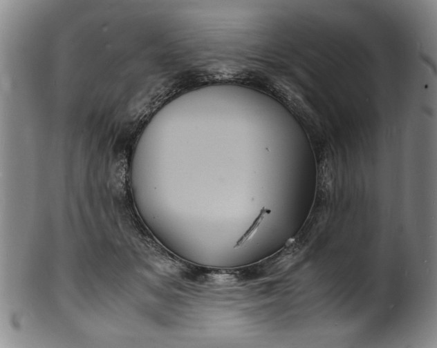 X0000101480509200807211402