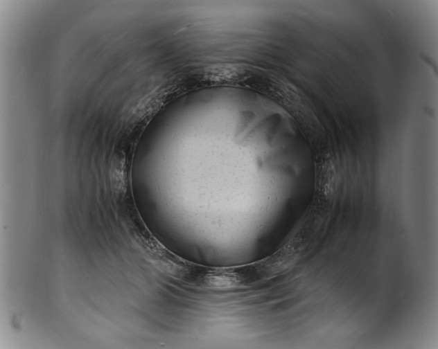 X0000101480510200807211402