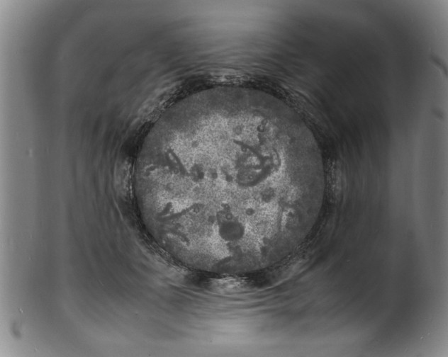 X0000101480511200807211402