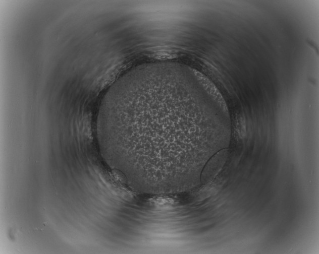 X0000101480512200807211402