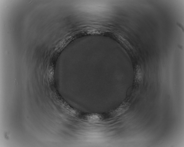 X0000101480513200807211402