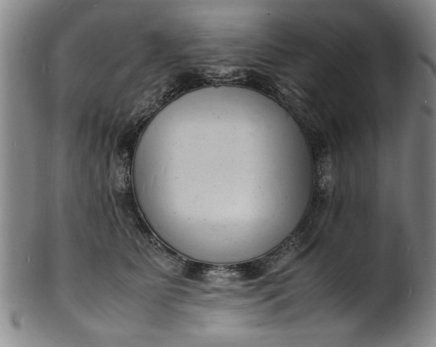 X0000101480515200807211402