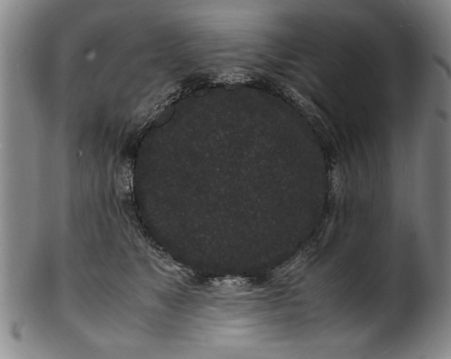 X0000101480517200807211402