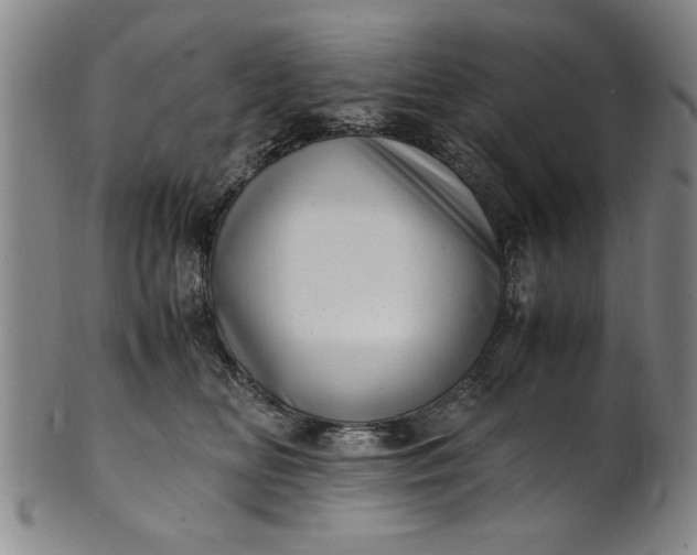 X0000101480518200807211402