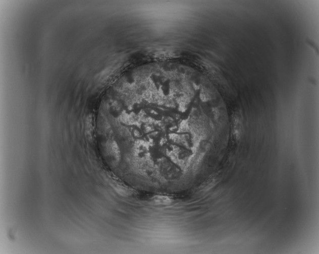 X0000101480519200807211402