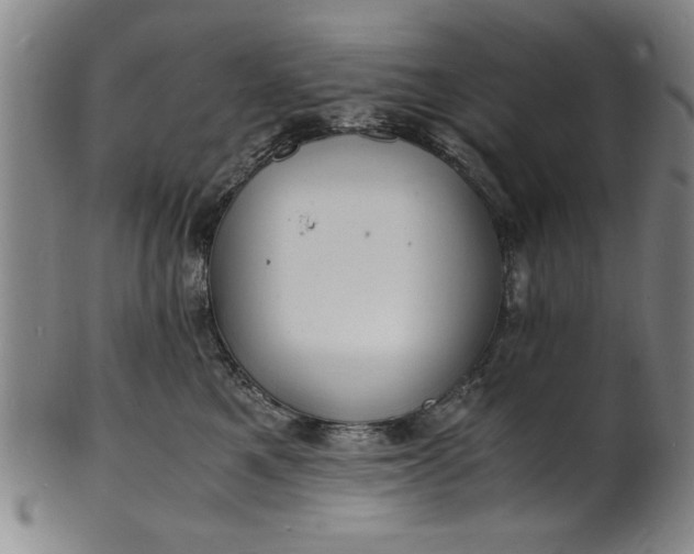 X0000101480521200807211402