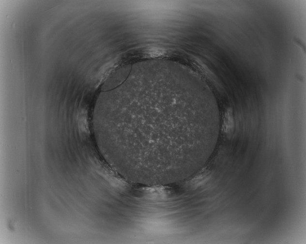 X0000101480524200807211402