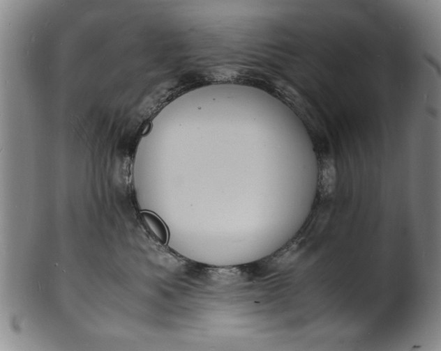 X0000101480525200807211402