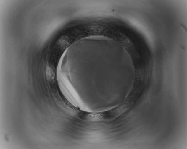 X0000101480526200807211402