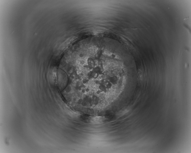 X0000101480527200807211402