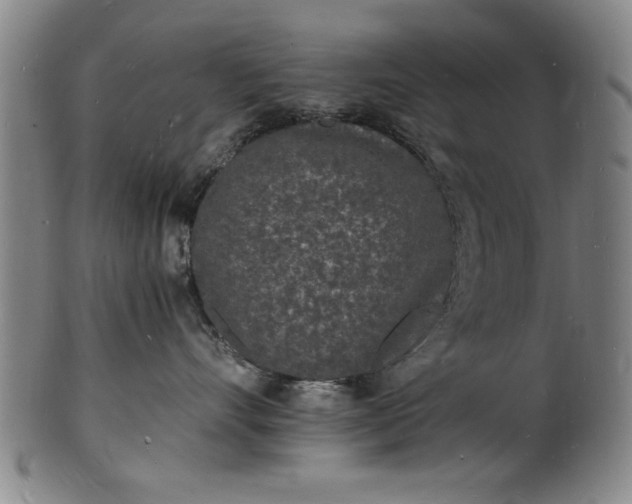 X0000101480528200807211402