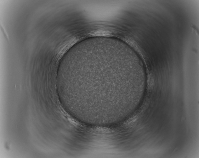 X0000101480529200807211401