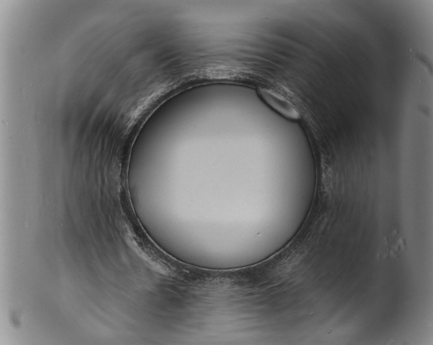 X0000101480530200807211401