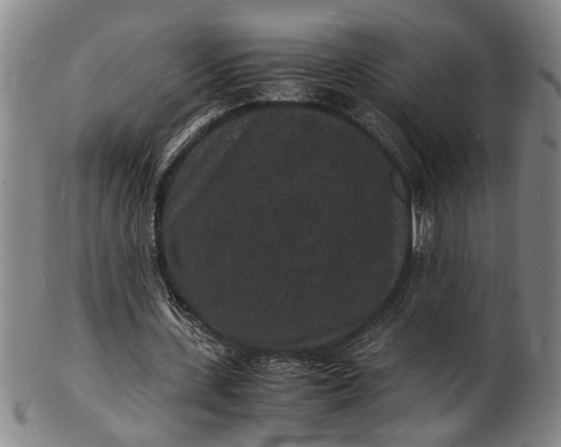 X0000101480531200807211401