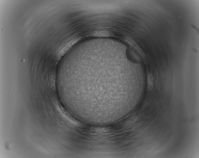 X0000101480533200807211401