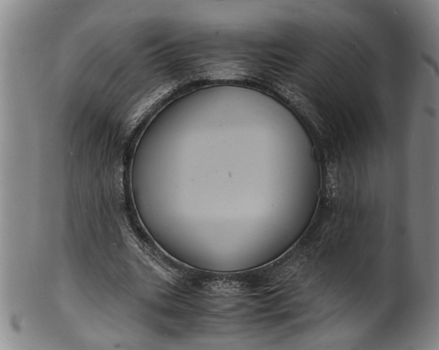 X0000101480535200807211401