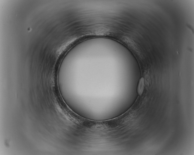 X0000101480536200807211401