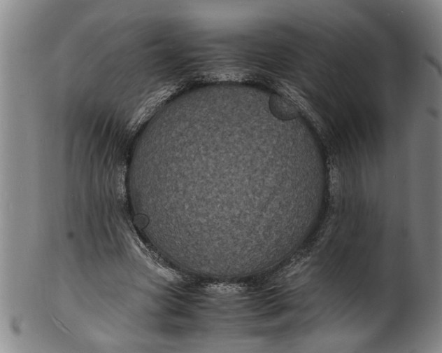 X0000101480537200807211401