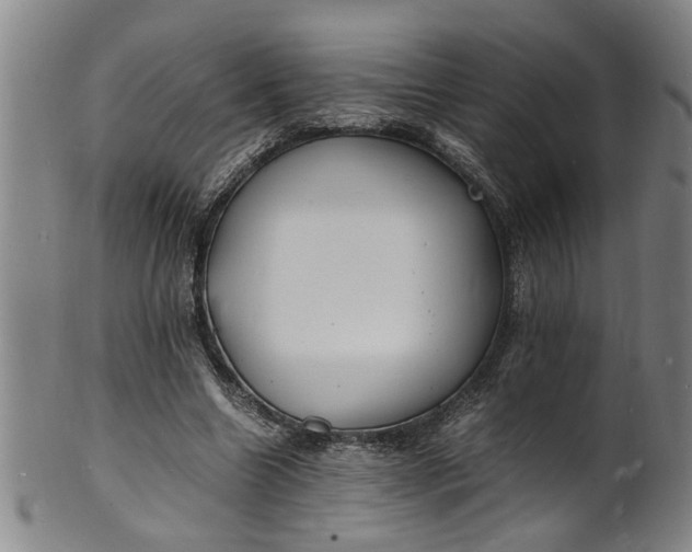 X0000101480538200807211401