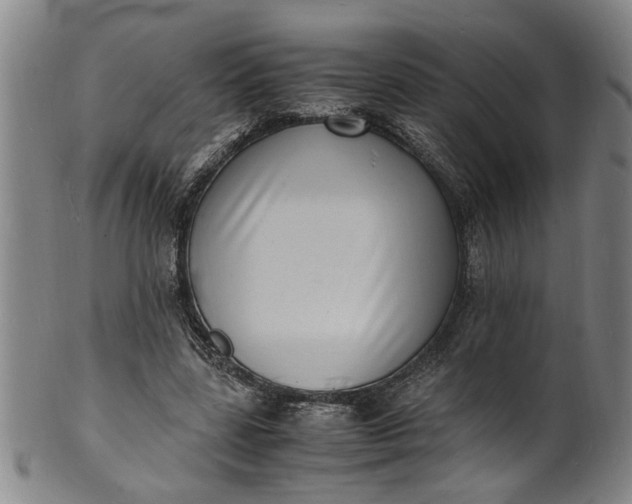 X0000101480539200807211401