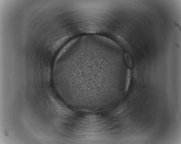 X0000101480540200807211401