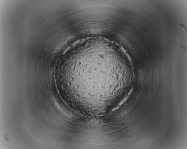 X0000101480542200807211401