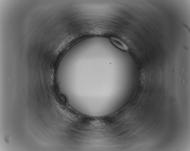 X0000101480544200807211401