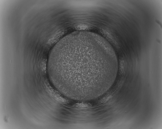 X0000101480545200807211401