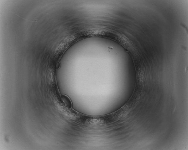 X0000101480546200807211401