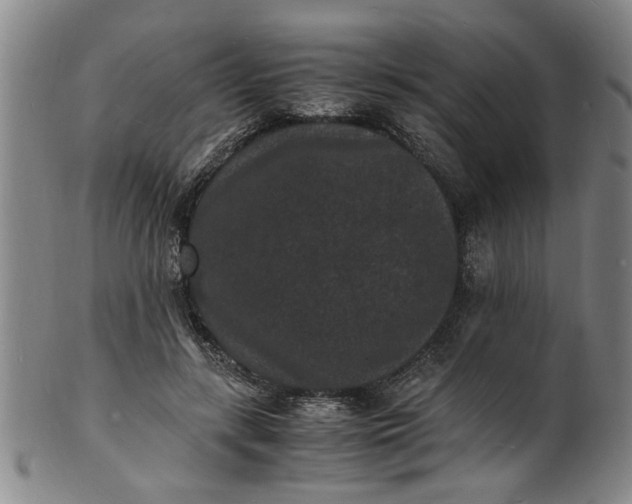 X0000101480547200807211401