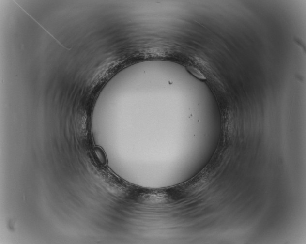 X0000101480548200807211401