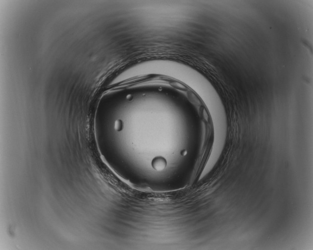 X0000101480552200807211401