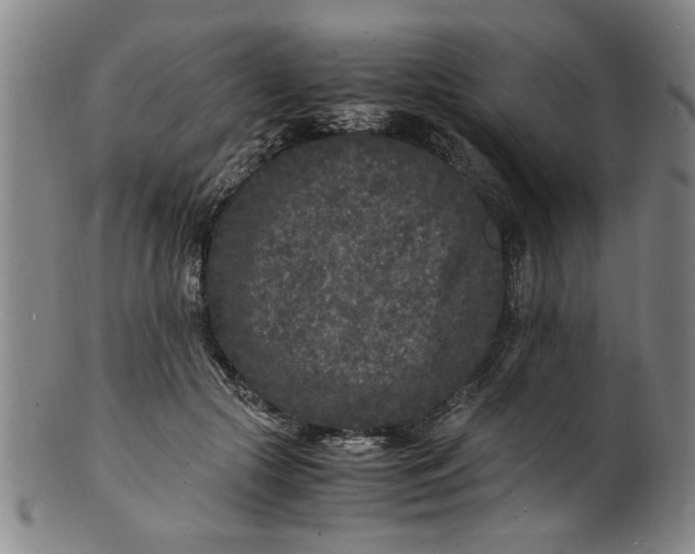 X0000101480553200807211401