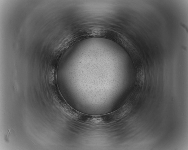 X0000101480554200807211401