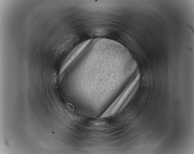 X0000101480555200807211401