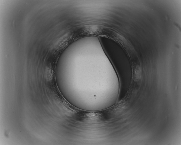 X0000101480558200807211401